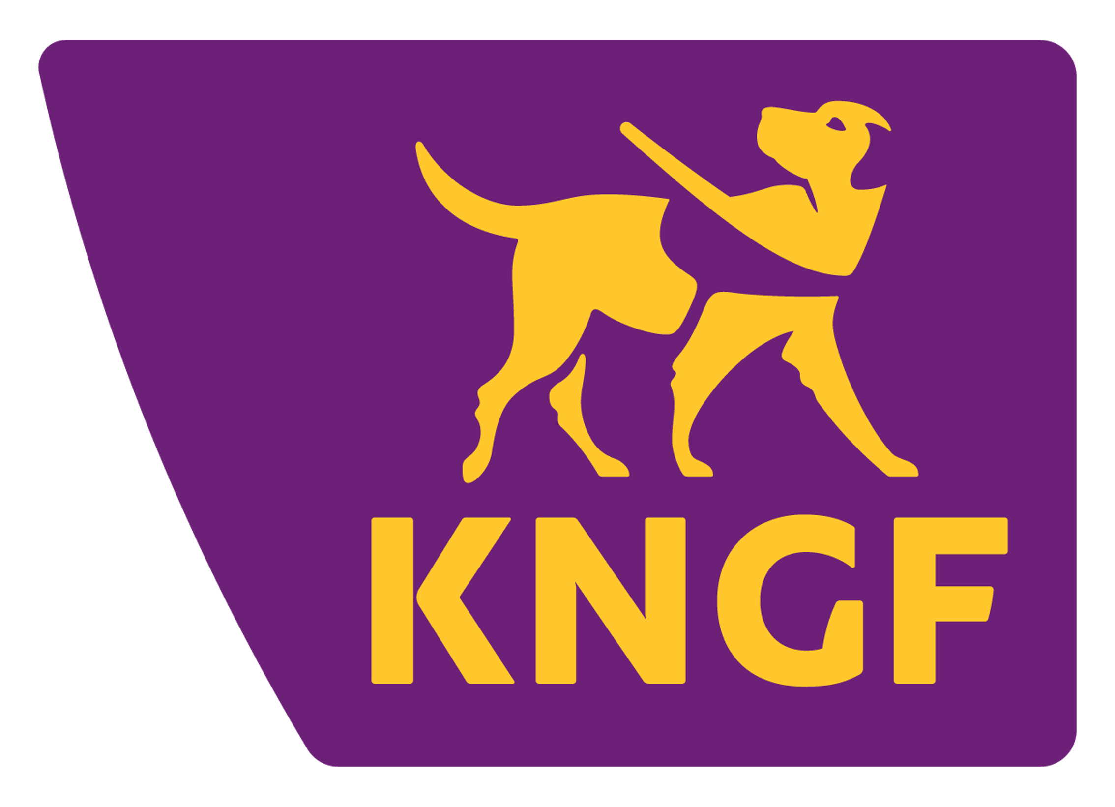 Logo KNGF